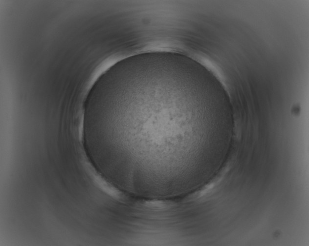 X0000094901227200712131423