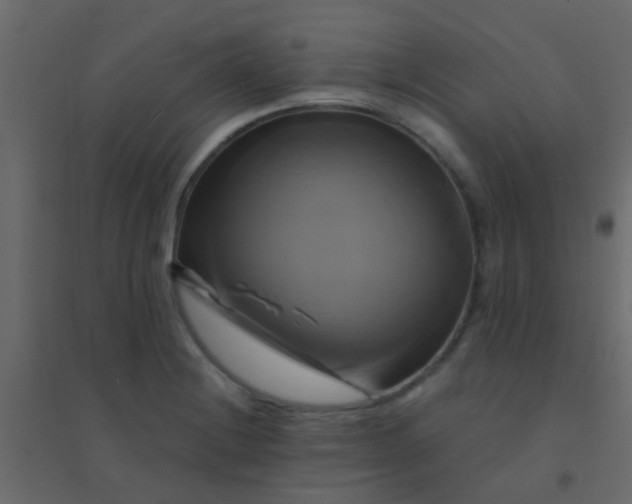 X0000094901228200712131423