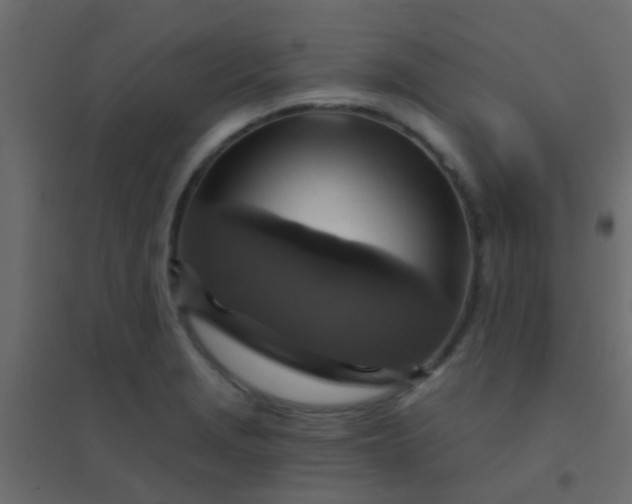 X0000094901229200712131423