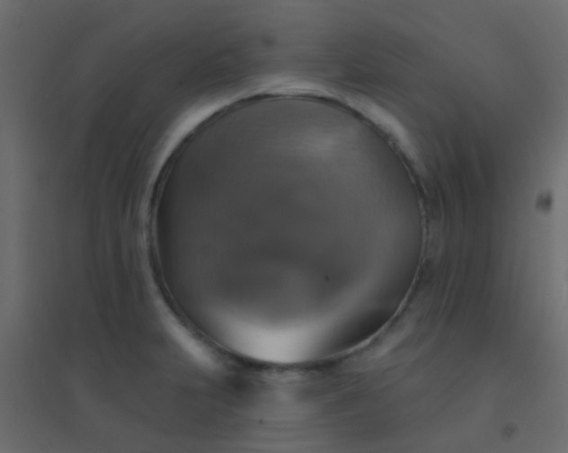 X0000094901231200712131423