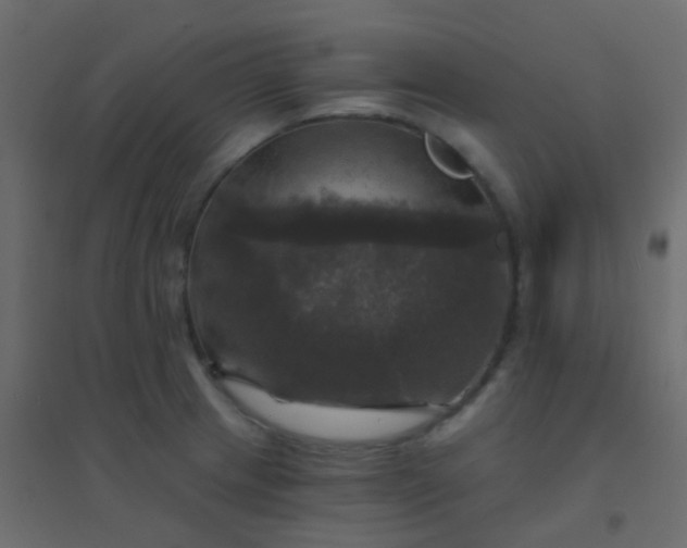 X0000094901233200712131423