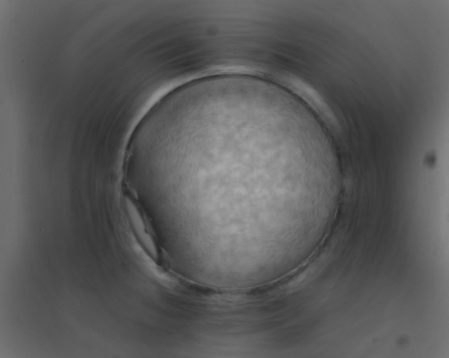 X0000094901236200712131423