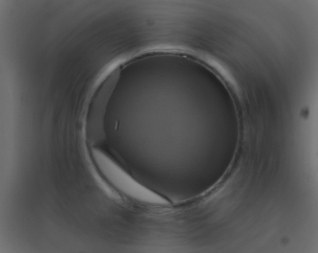 X0000094901237200712131423