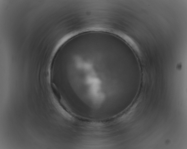 X0000094901238200712131423