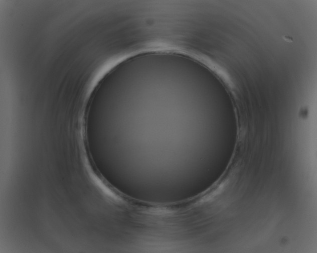 X0000094901239200712131423