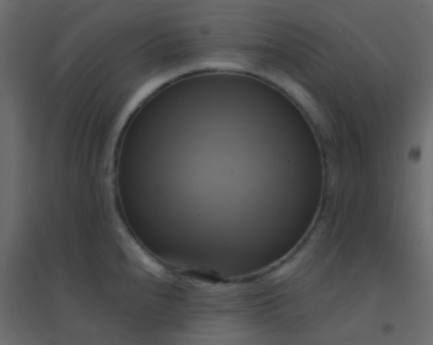 X0000094901240200712131423