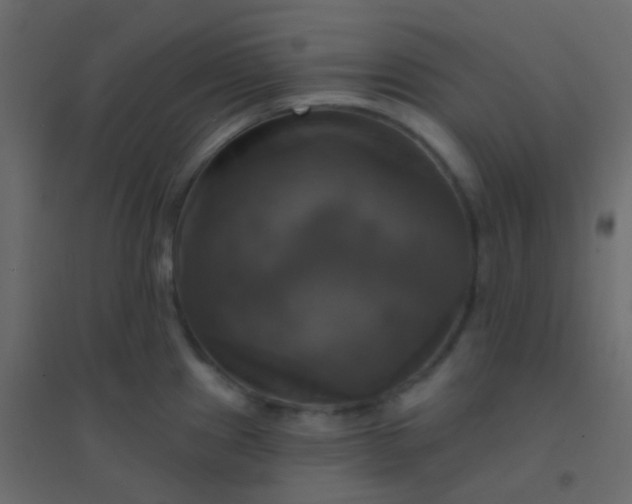 X0000094901241200712131423