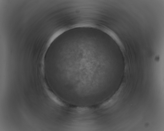 X0000094901242200712131423