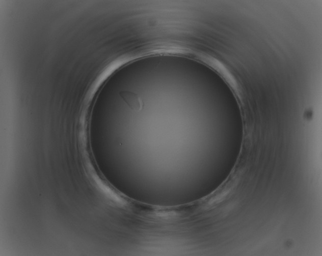 X0000094901243200712131423