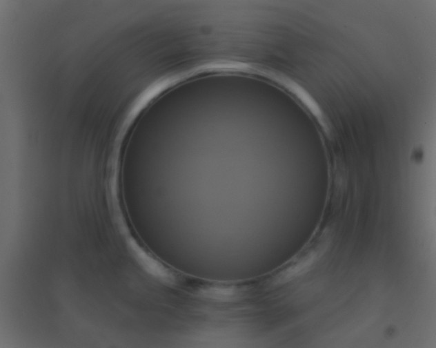 X0000094901245200712131423