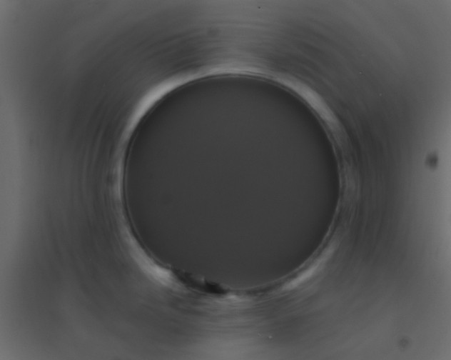 X0000094901246200712131423