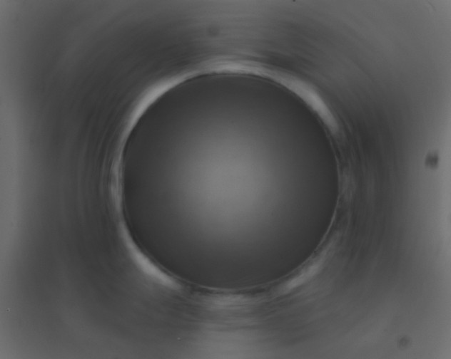 X0000094901247200712131423