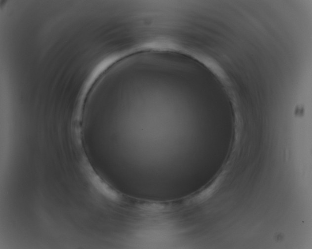 X0000094901248200712131423