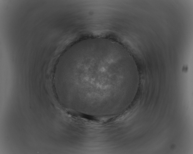 X0000094901249200712131423