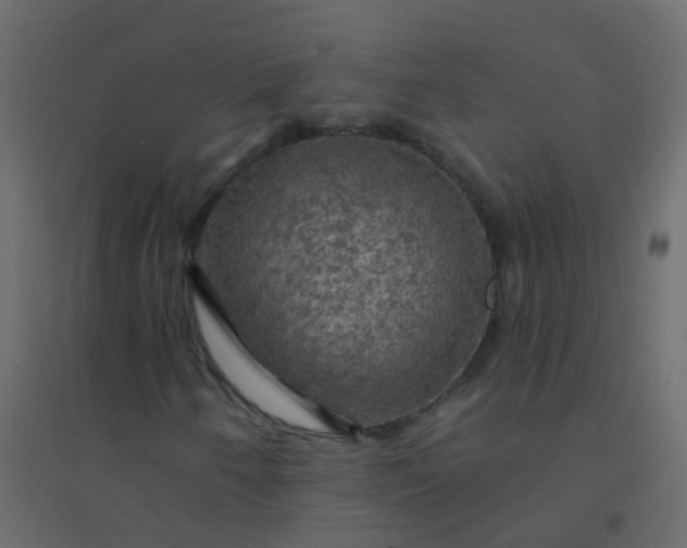 X0000094901250200712131423