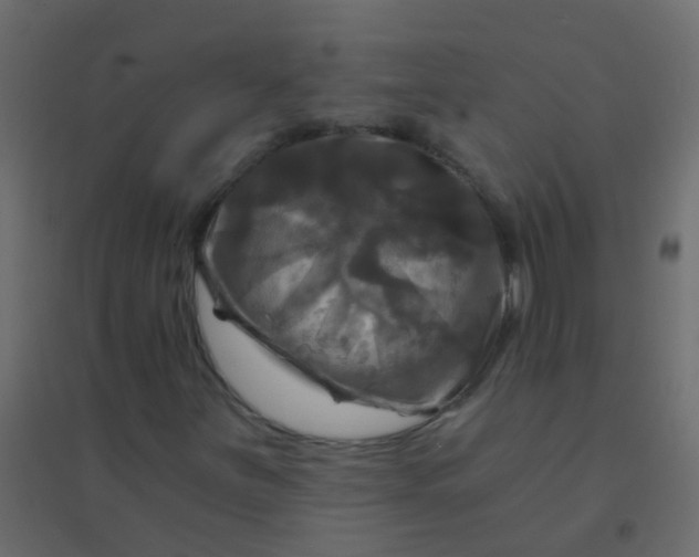 X0000094901251200712131423