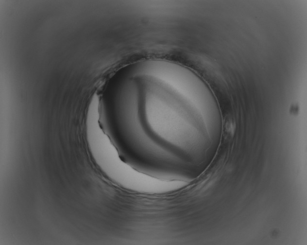 X0000094901252200712131423