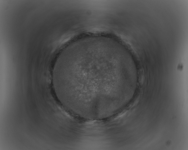 X0000094901253200712131423