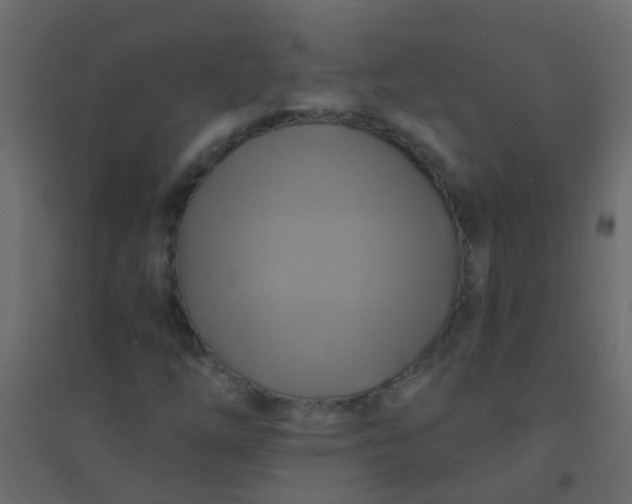 X0000094901254200712131423
