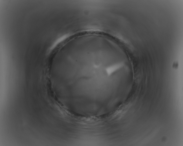 X0000094901255200712131423