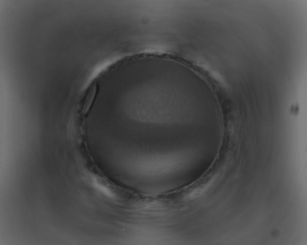 X0000094901256200712131423