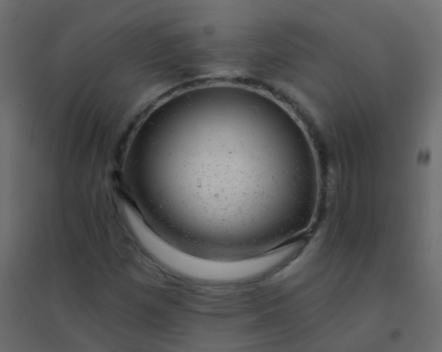 X0000094901257200712131423
