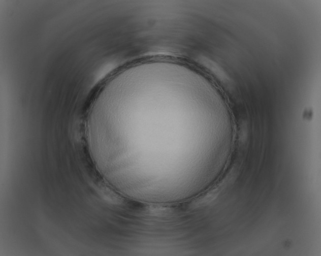 X0000094901258200712131423