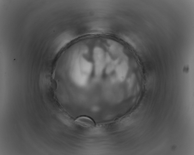 X0000094901259200712131423