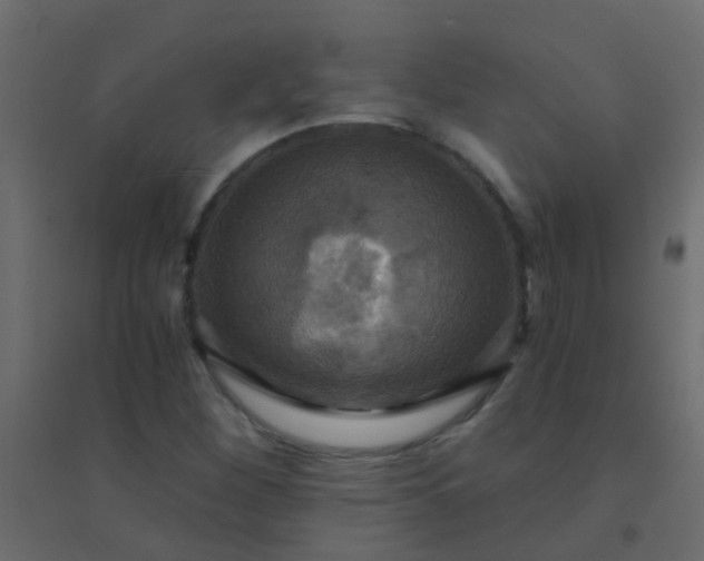 X0000094901260200712131423