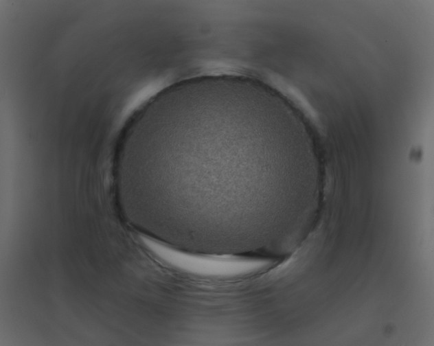 X0000094901261200712131423