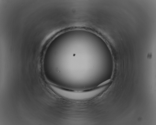 X0000094901262200712131423