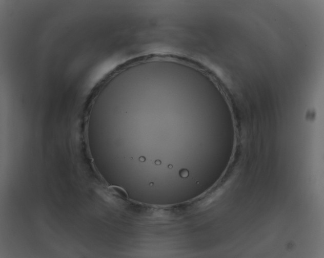 X0000094901263200712131423