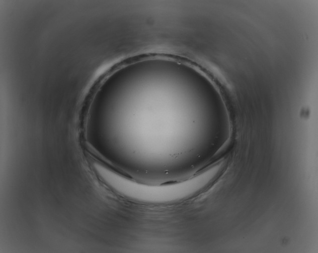 X0000094901264200712131422