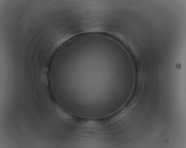 X0000094901265200712131422