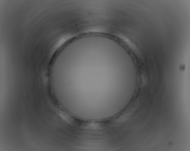 X0000094901266200712131422