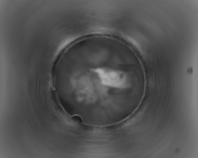 X0000094901267200712131422