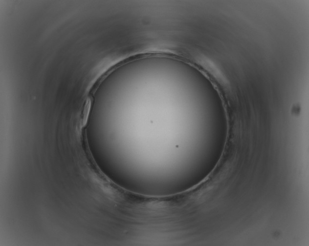 X0000094901268200712131422
