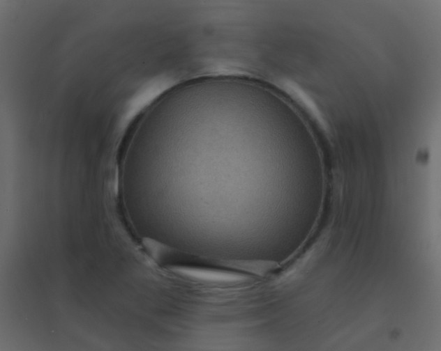 X0000094901269200712131422