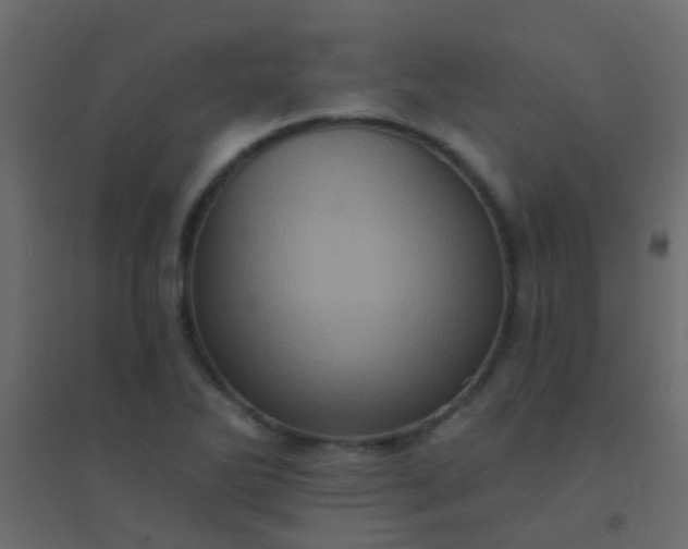 X0000094901270200712131422
