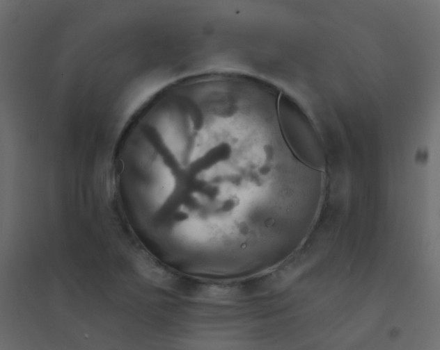 X0000094901271200712131422