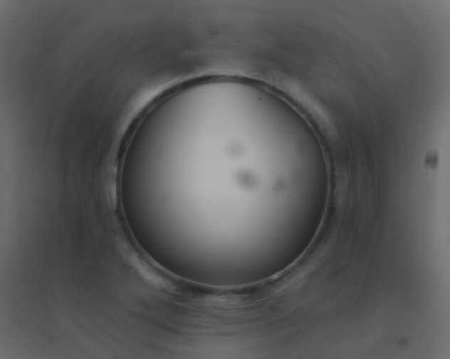 X0000094901272200712131422