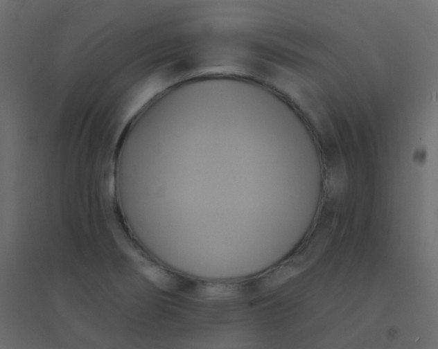 X0000094901274200712131422