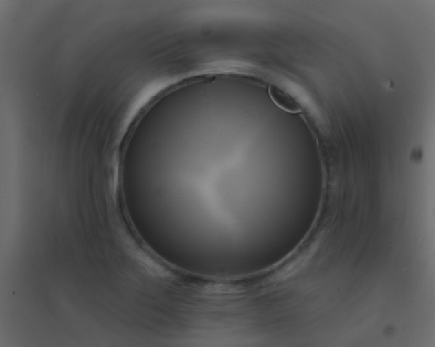 X0000094901275200712131422
