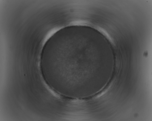 X0000094901277200712131422