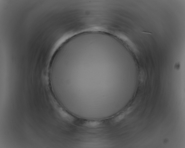 X0000094901278200712131422