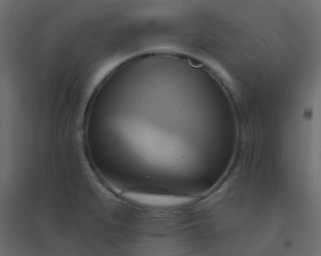 X0000094901279200712131422