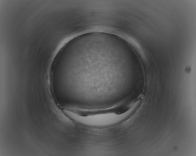 X0000094901280200712131422