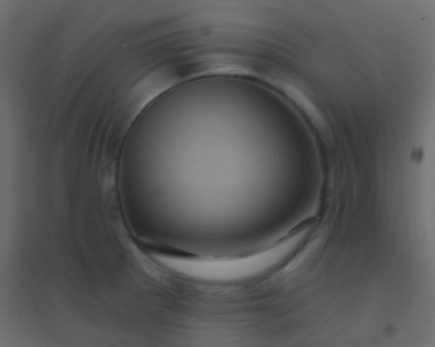 X0000094901281200712131422