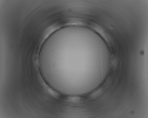 X0000094901282200712131422