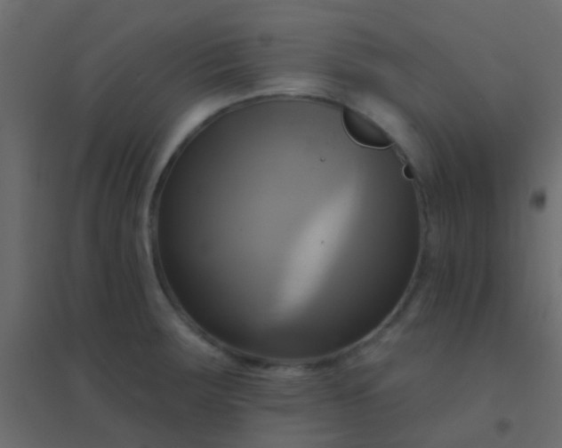 X0000094901283200712131422